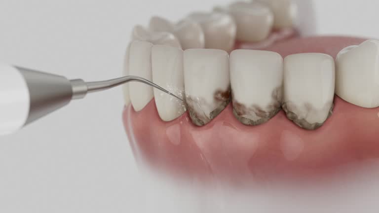 Reliable Dental contractor in Kensington Park, FL by Dentist Open Now